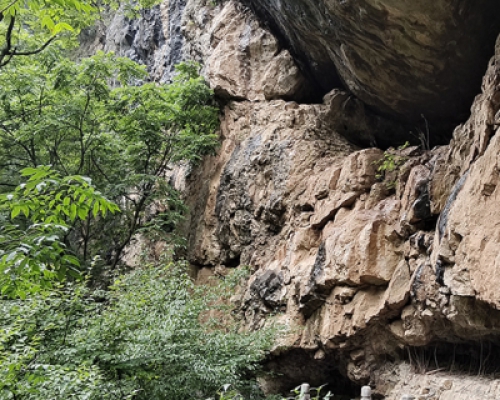 龙门回望：丘处机的抉择与千年回响